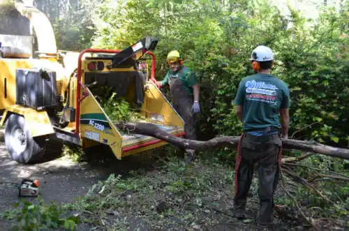 tree services Cheney